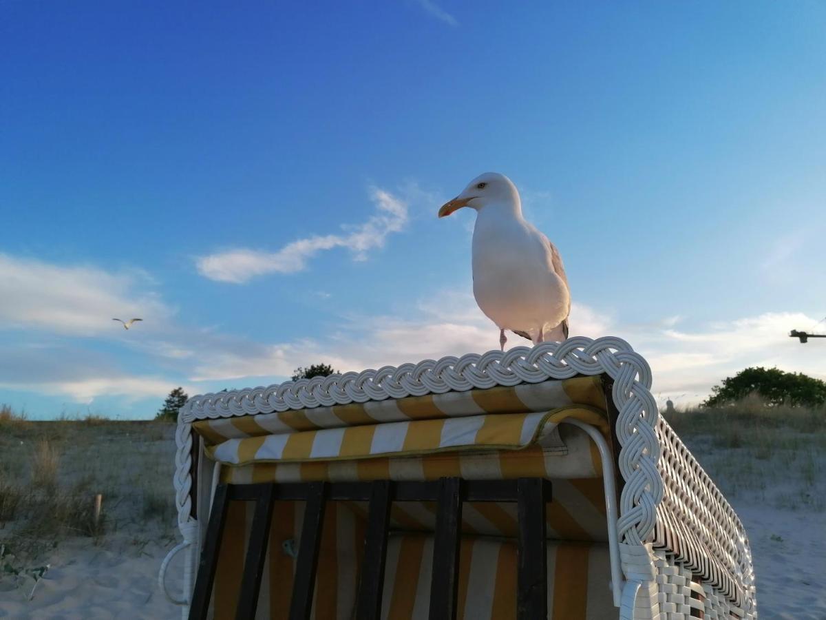Ferienwohnung Strandburg Херингсдорф Екстериор снимка